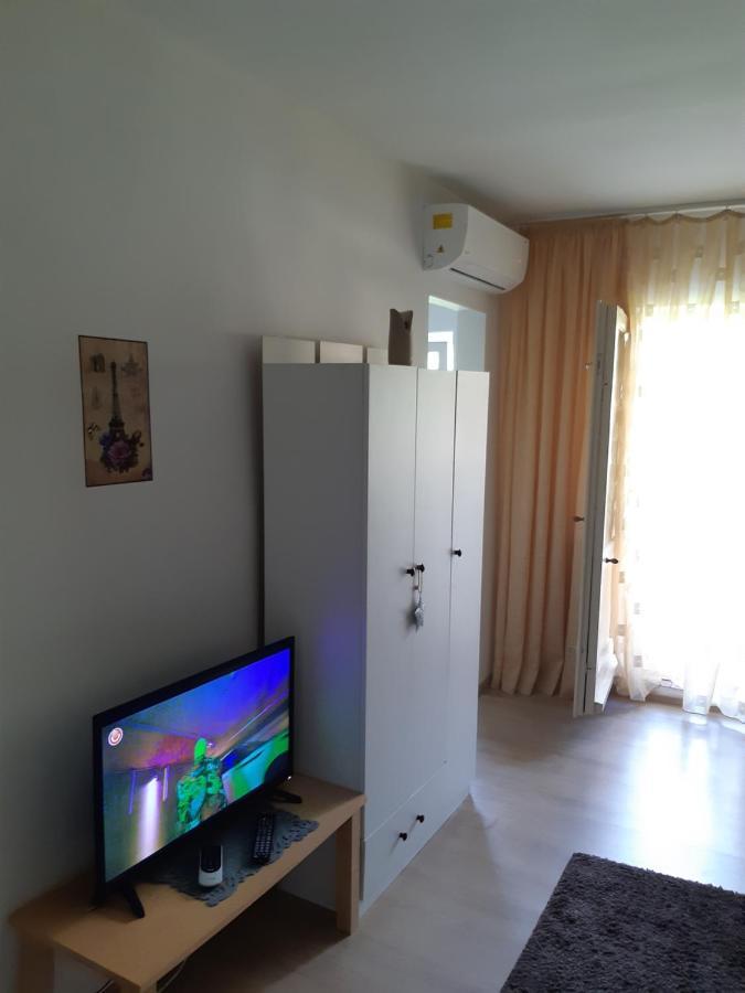 Studio Cora Apartment Orsova Bagian luar foto