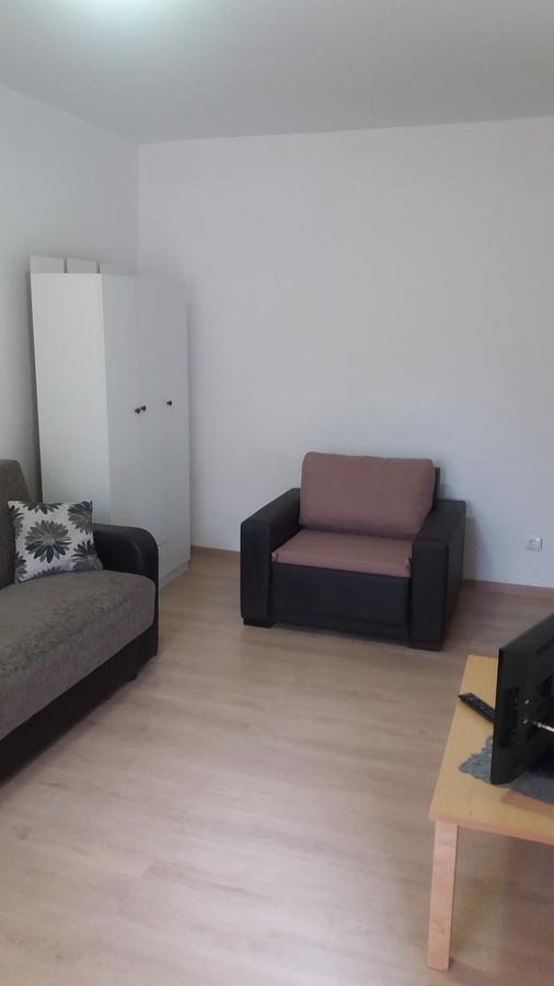 Studio Cora Apartment Orsova Bagian luar foto